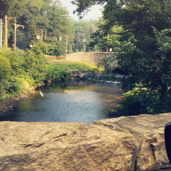 Meet your Posher, Patricia - Picture 1 of 1